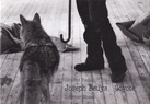 Caroline Tisdall: Joseph Beuys. Coyote